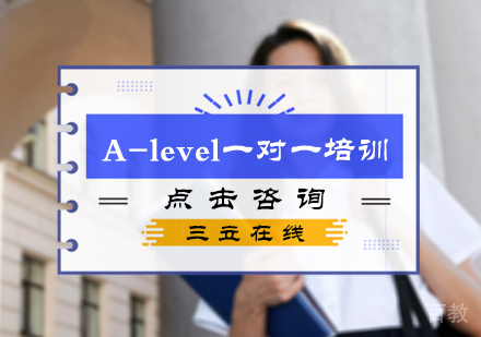 北京A-level一对一培训