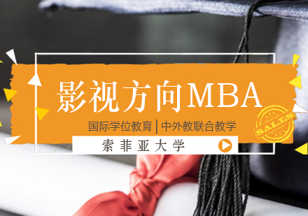 索菲亚大学影视文化投资方向MBA项目