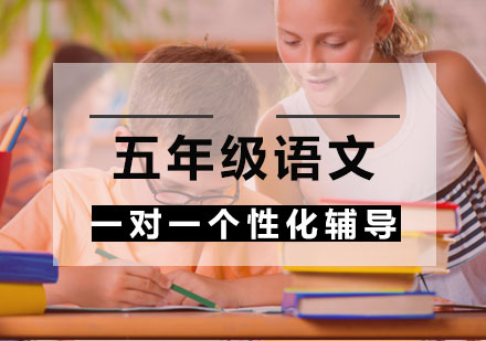 五年级语文一对一个性化课程