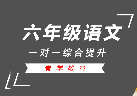 六年级语文一对一综合提升课程