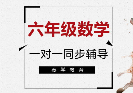 六年级数学一对一同步辅导课程