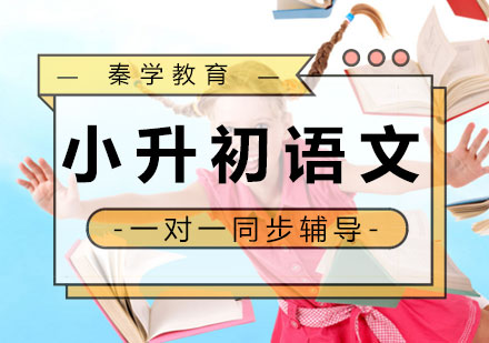 小升初语文一对一同步辅导课程