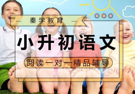 小升初语文阅读一对一精品辅导课程