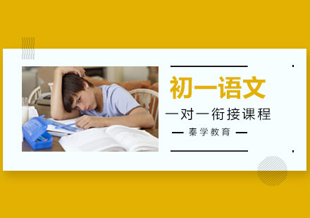 初一语文一对一衔接课程