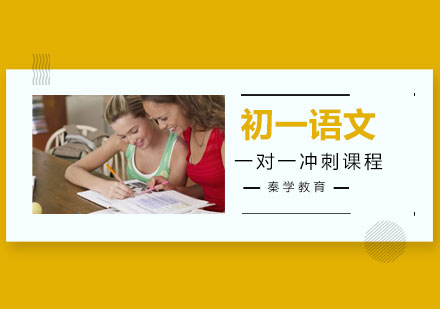 初一语文一对一冲刺课程