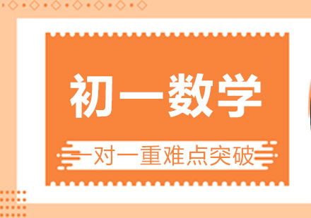 初一数学一对一重难点突破课程