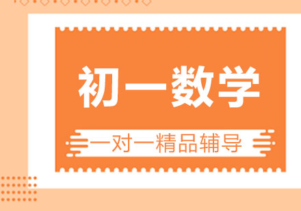 初一数学一对一精品辅导课程