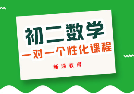 初二数学一对一个性化课程