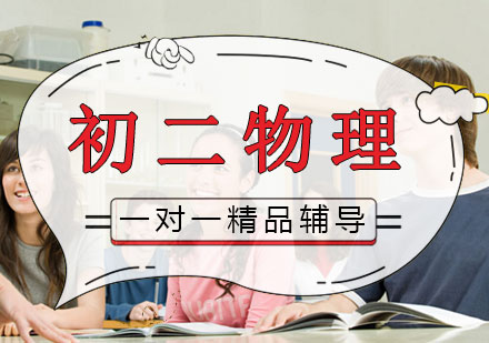 初二物理一对一精品辅导课程