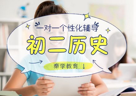 初二历史一对一个性化辅导课程