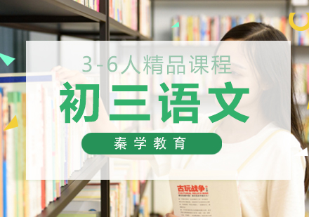 初三语文3-6人精品课程