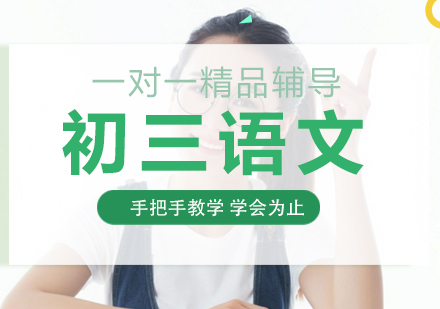 初三语文一对一精品辅导课程
