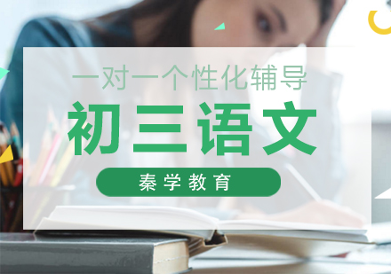 初三语文一对一个性化辅导课程