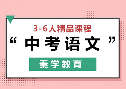中考语文3-6人精品课程