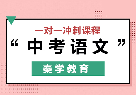 中考语文一对一冲刺课程