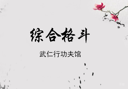 上海综合格斗培训
