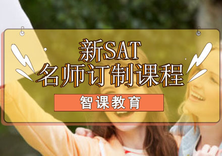 成都新SAT订制培训班