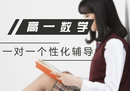 高一数学一对一个性化辅导课程
