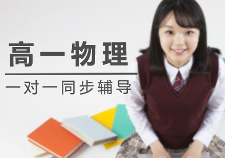 高一物理一对一同步辅导课程