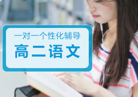 高二语文一对一个性化辅导课程