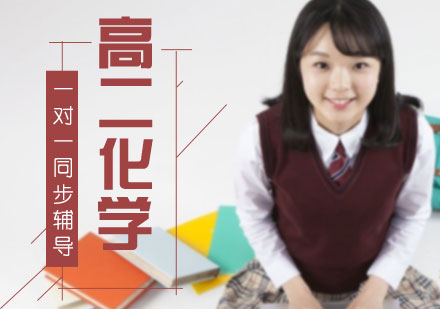 高二化学一对一同步辅导课程
