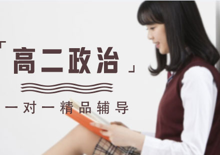 高二政治一对一精品辅导课程