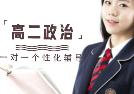 高二政治一对一个性化辅导课程