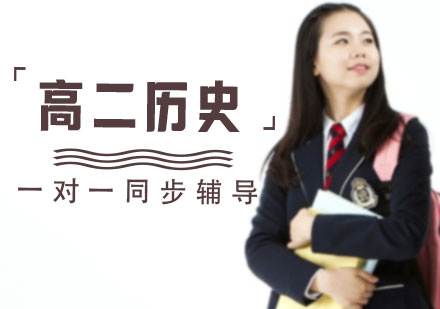 高二历史一对一同步辅导课程