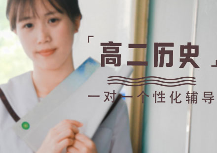 高二历史一对一个性化辅导课程