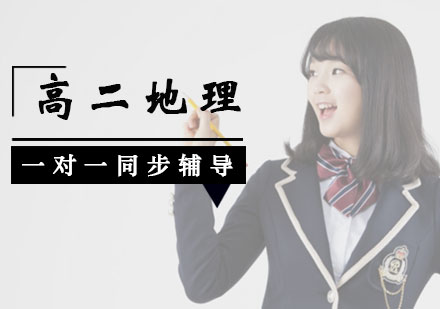高二地理一对一同步辅导课程