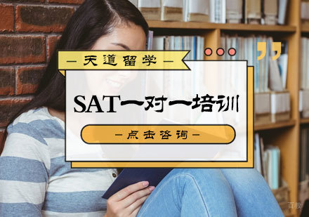 北京SAT一对一培训