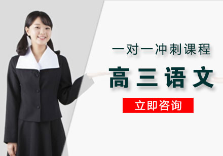 高三语文一对一冲刺课程