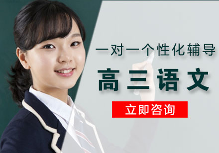 高三语文一对一个性化辅导课程