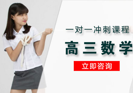 高三数学一对一冲刺课程