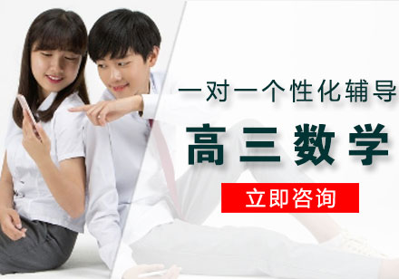 高三数学一对一个性化辅导课程