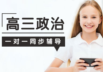 高三政治一对一同步辅导课程