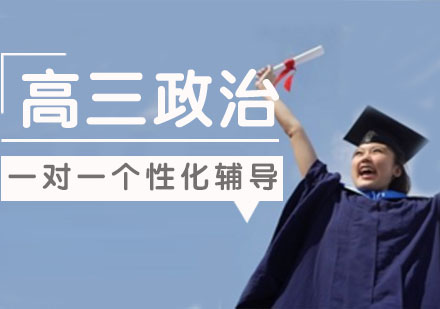 高三政治一对一个性化辅导课程