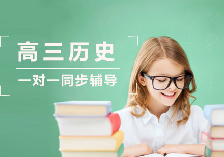高三历史一对一同步辅导课程