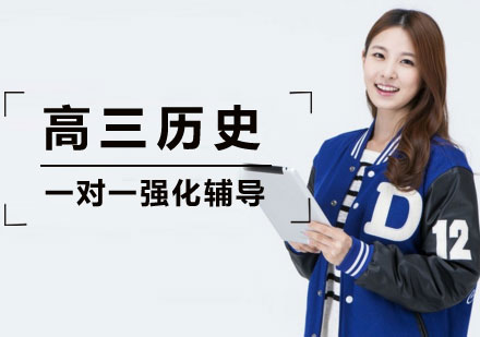 高三历史一对一强化辅导课程