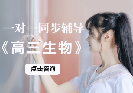 高三生物一对一同步辅导课程