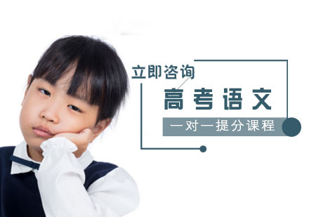 高考语文一对一提分课程