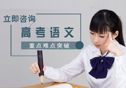 高考语文重点难点突破精品班