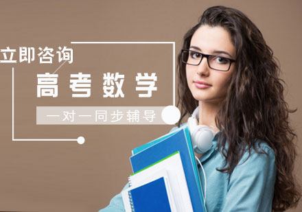 高考数学一对一同步辅导课程