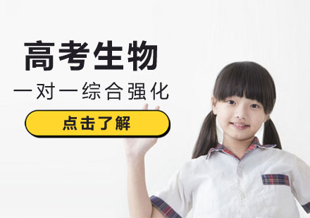 高考生物一对一综合强化课程