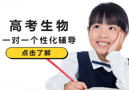 高考生物一对一个性化辅导课程