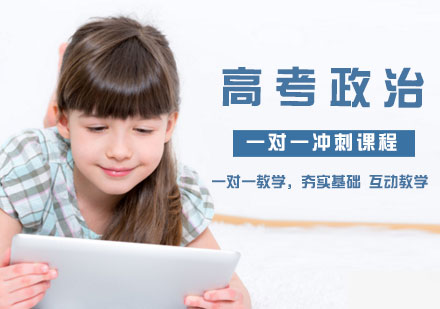 高考政治一对一冲刺课程