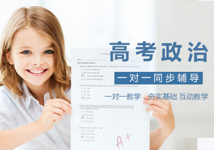 高考政治一对一同步辅导课程