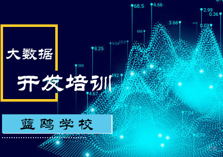 北京蓝鸥学校_北京大数据开发培训
