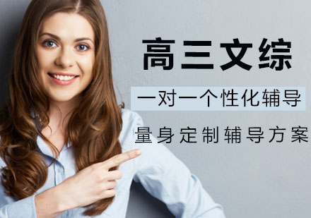 高三文综一对一个性化辅导课程