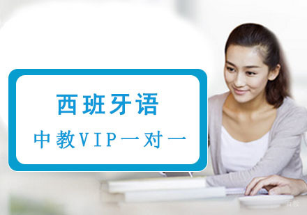 成都西语中教VIP一对一培训